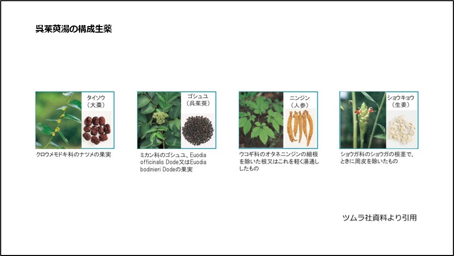 呉茱萸湯の構成生薬