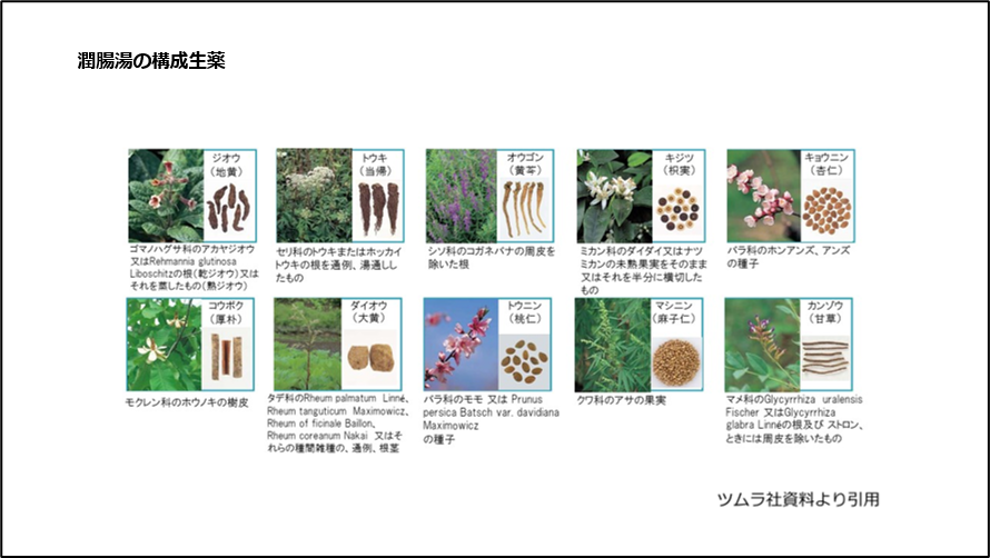 潤腸湯の構成生薬