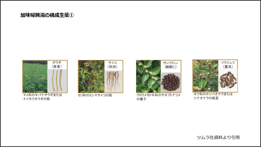 加味帰脾湯の構成生薬