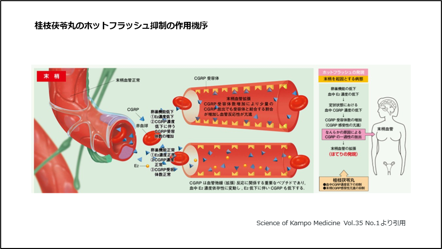 桂枝茯苓丸のホットフラッシュ抑制の作用機序