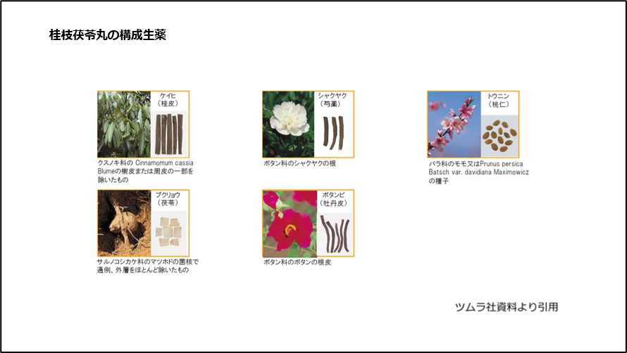 桂枝茯苓丸の構成生薬