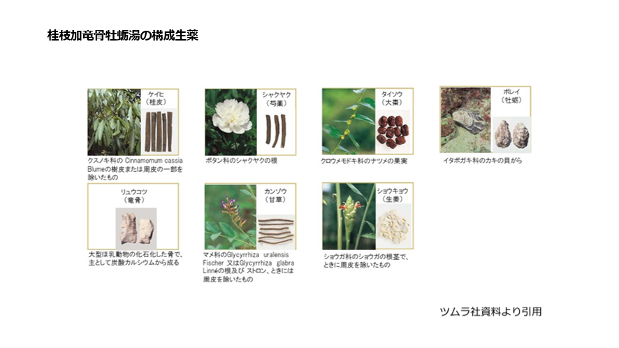 桂枝加竜骨牡蛎湯の構成生薬