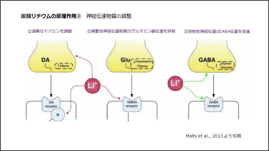 炭酸リチウムの薬理作用②