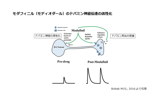 モダフィニル(モディオダール)のドパミン神経伝達の活性化