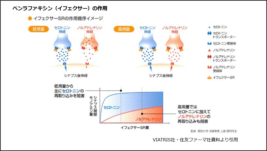 ベンラファキシン(イフェクサー)の作用
