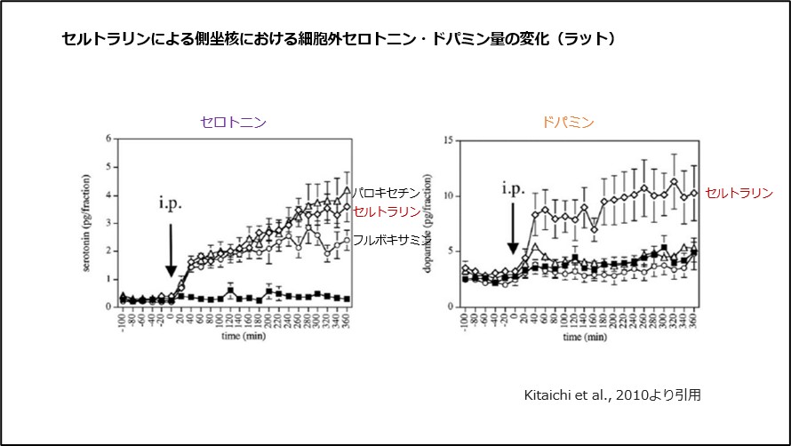 セルトラリンによる側坐核における細胞外セロトニン・ドパミン量の変化(ラット)