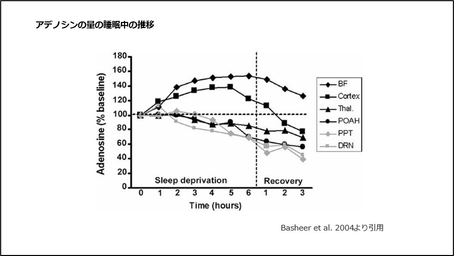アデノシンの量の睡眠中の推移