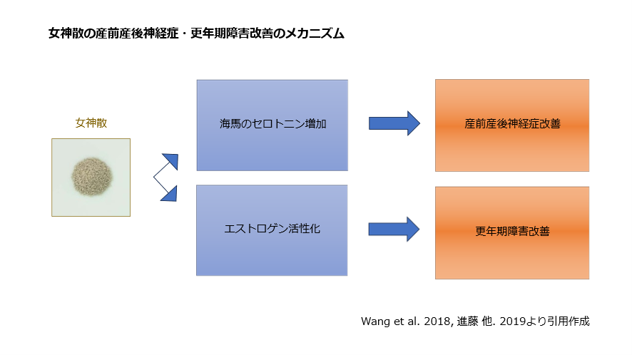 女神散の産前産後神経症・更年期障害改善のメカニズム