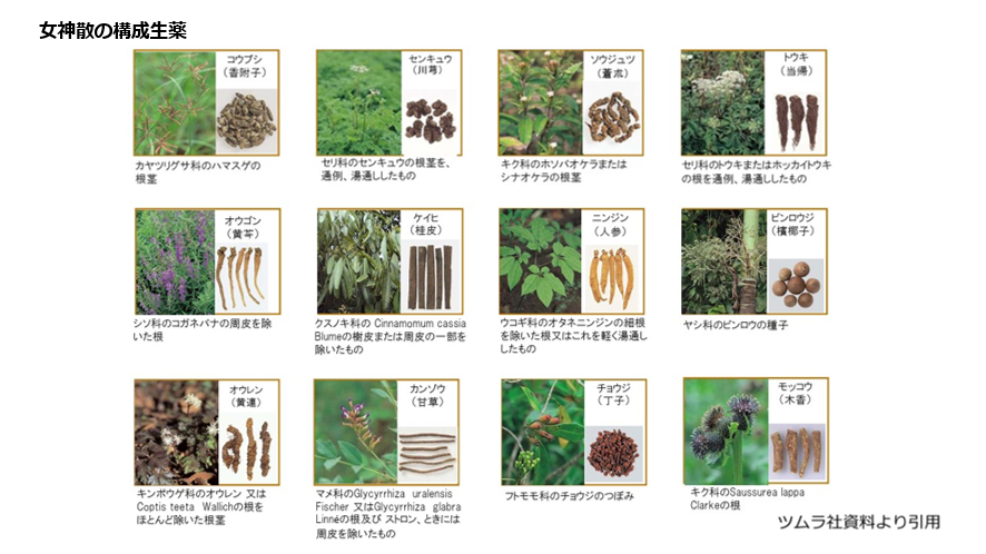 女神散の構成生薬
