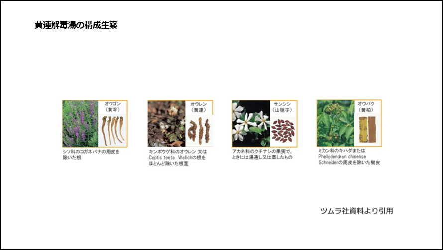 黄連解毒湯の構成生薬