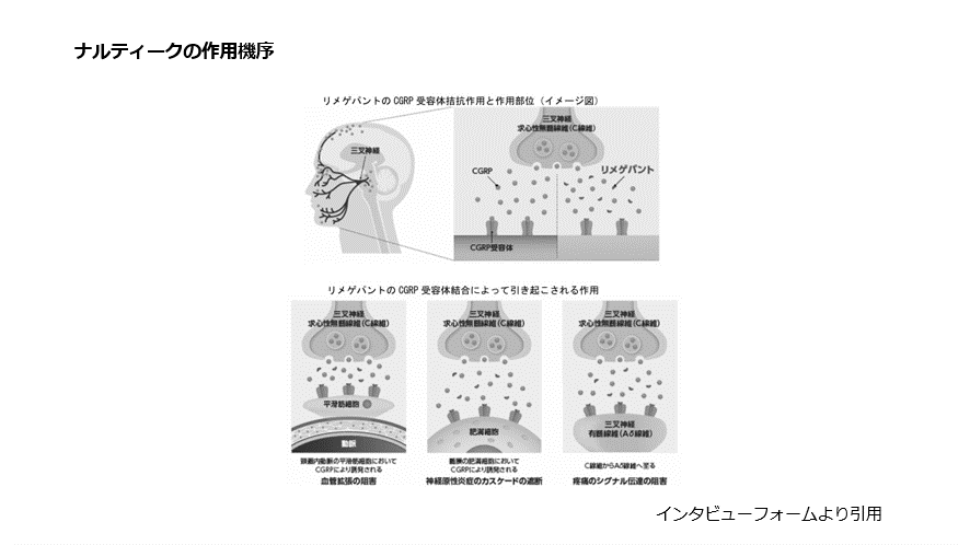 ナルティークの作用機序