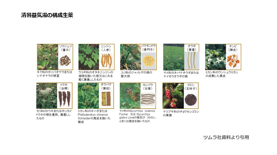 清暑益気湯の構成生薬