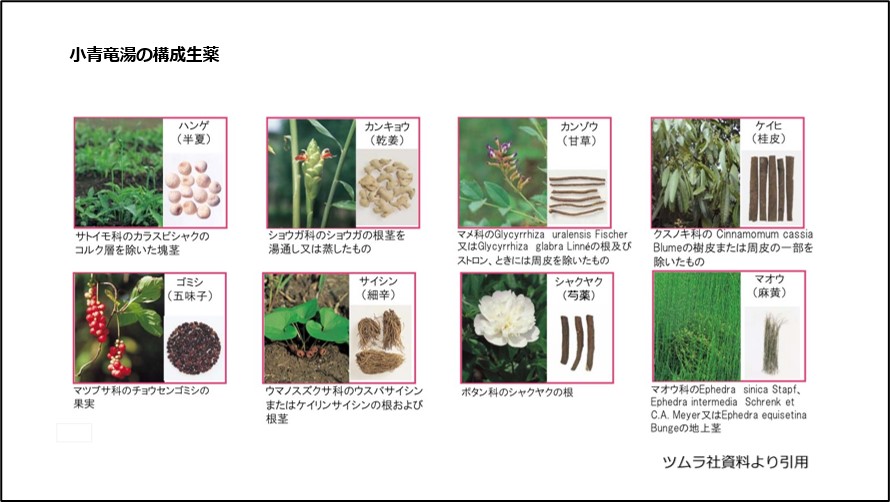 小青竜湯の構成生薬