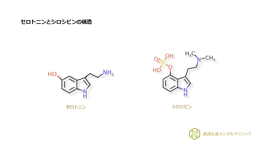 セロトニンとシロシビンの構造
