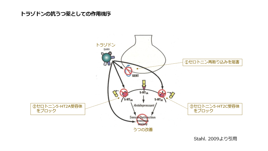 トラゾドンの抗うつ薬としての作用機序