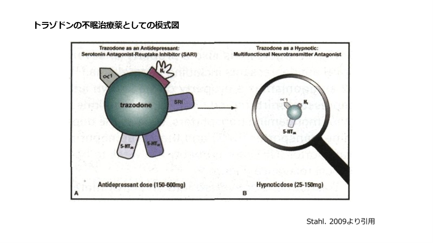 トラゾドンの不眠治療薬としての模式図