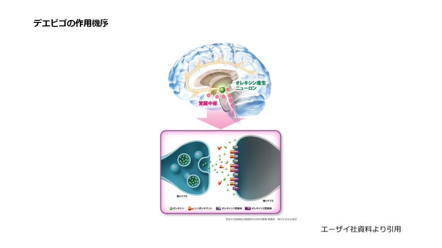 デエビゴの作用機序