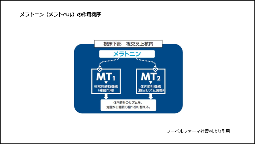 メラトニン(メラトベル)の作用機序
