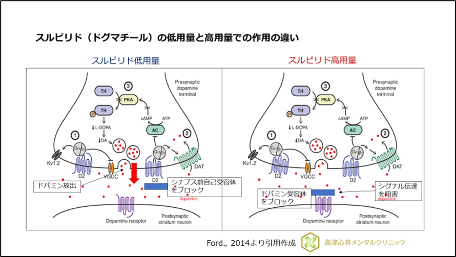 スルピリド（ドグマチール）の低用量と高用量での作用の違い