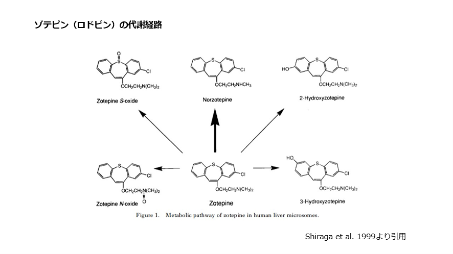 ゾデピン(ロドピン)の代謝経路
