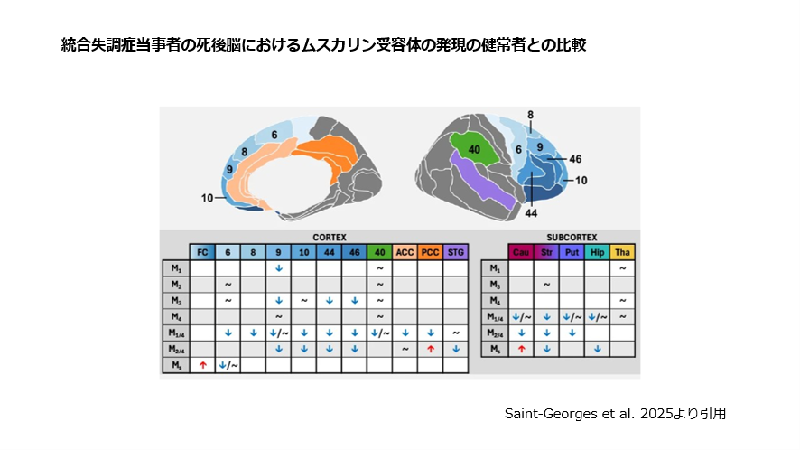 統合失調症 統合失調症の治療方法｜銀座心療内科クリニック