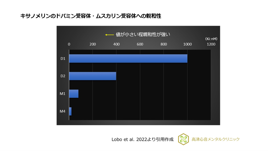 統合失調症新薬Cobenfy（KarXT）（日本未承認薬）について｜川崎