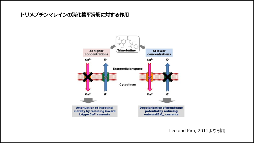 トリメブチンマレインの消化管平滑筋に対する作用