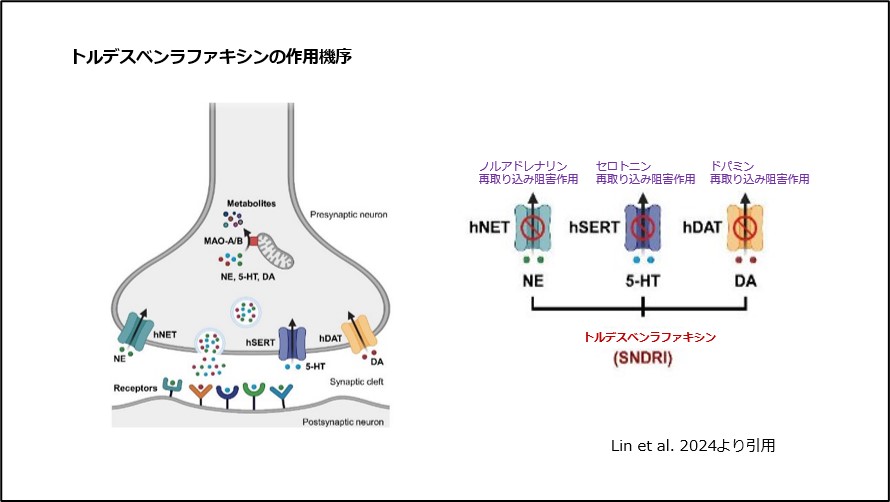 トルデスベンラファキシンの作用機序