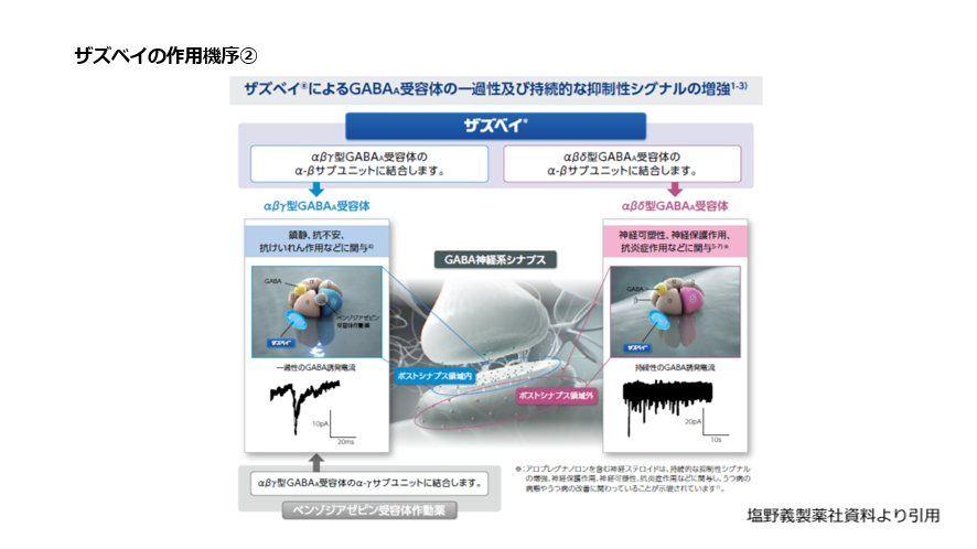 ザズベイの作用機序②